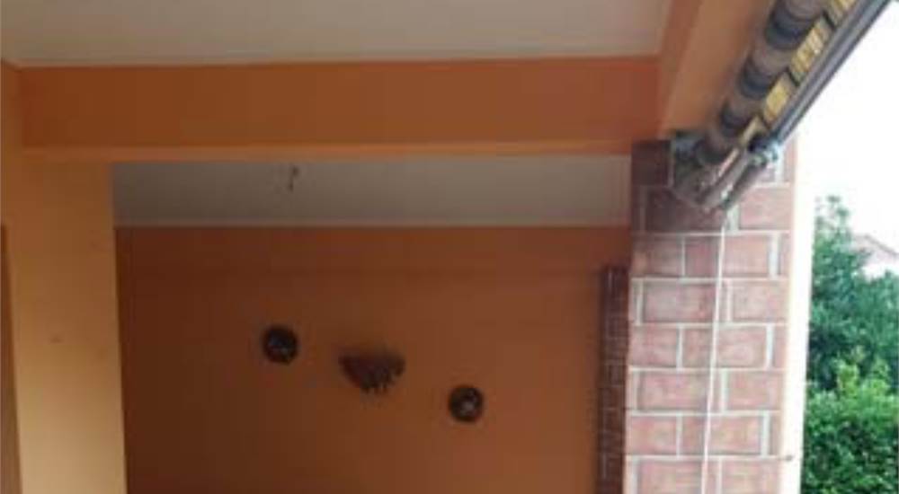 Photo 39