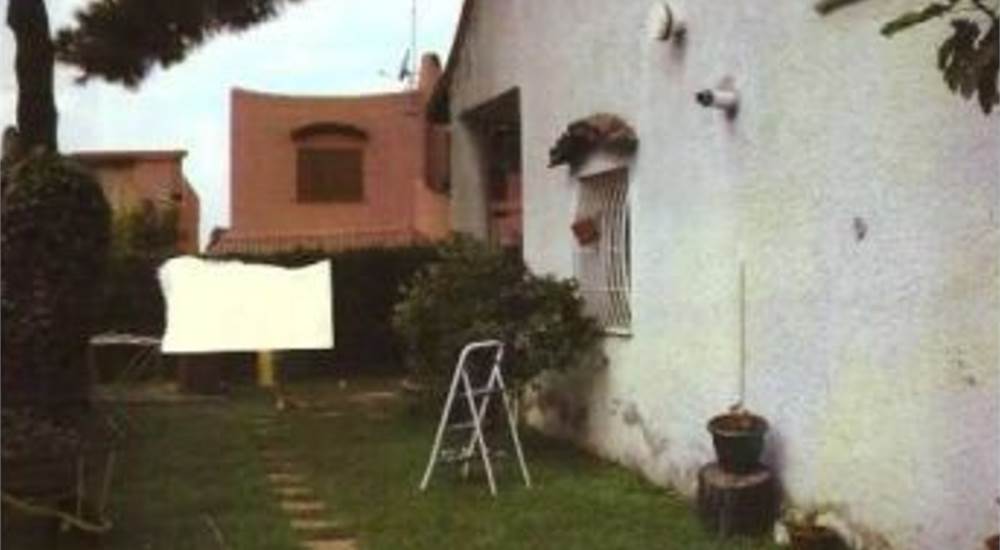 Photo 31